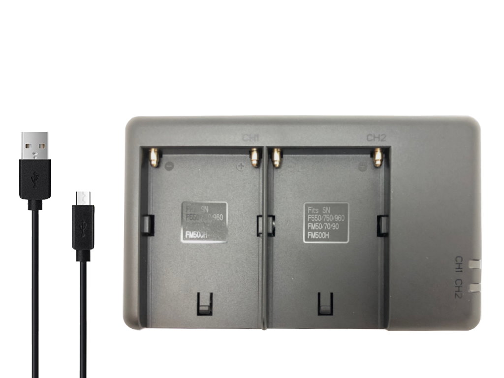 AC-VQ1051D-RC 充電器 ソニー対応 | ロワジャパン（バッテリーバンク 